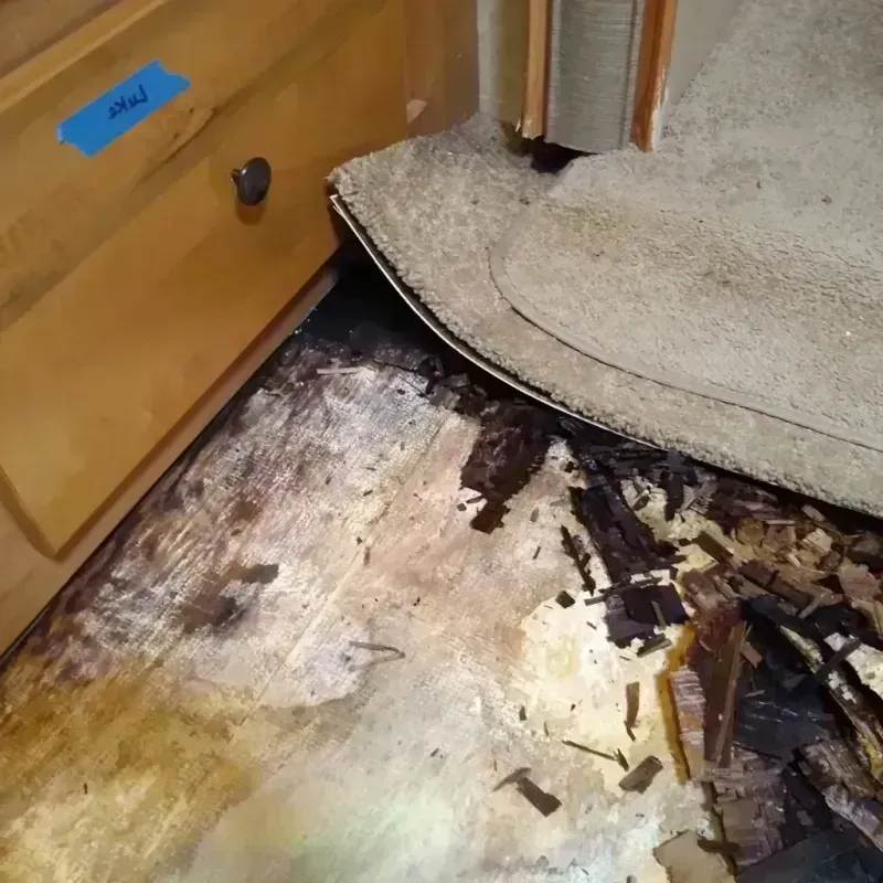 Best Wood Floor Water Damage Service in Holland, OH